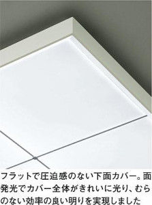 DAIKO ����ŵ� LED�ڥ����� DECOLED��S(LED����) DPN-38230W ���ͼ̿�