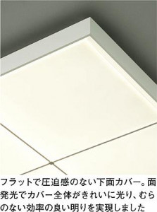 DAIKO ����ŵ� LED�ڥ����� DECOLED��S(LED����) DPN-38230Y ���ͼ̿�