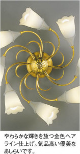 KOIZUMI �������� �������� �ָ�ľ�ե����ǥꥢ �����ǥꥢ �ָ������ŵ忧��  AAN586961