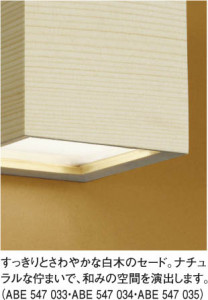 KOIZUMI �������� �������� ������Ǯ���֥饱�å� ���� ��Ǯ�� ��Ǯ�����Υ���� ABE547034