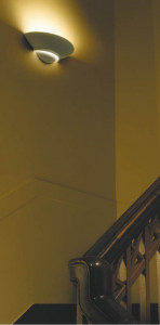 KOIZUMI   Ǯ֥饱å ֥饱å Ǯ Ǯץȥ ABE645218