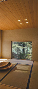 KOIZUMI �������� �������� SG��������饤�� ������饤�ȡ�����١����饤�ȴޤ�� ��Ǯ�� ��Ǯ����ץȥ�� ADE550325