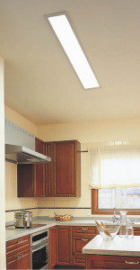 KOIZUMI �������� �������� �ָ��������� ���å���饤�� �ָ��������򿧡�  ADN550592