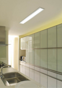 KOIZUMI �������� �������� �ָ��������� ���å���饤�� �ָ��������򿧡�  ADN550592