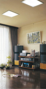 KOIZUMI   ָ 饤ȡ١饤ȴޤ ָ򿧡  ADN650180