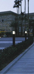 KOIZUMI �������� �������� �ݡ��� �����ȥɥ��饤��   AEE564042