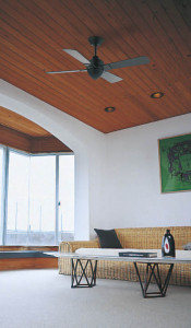 KOIZUMI �������� �������� ŷ�����Ĺ�ѥ��� ����ƥꥢ�ե���   AEE590167