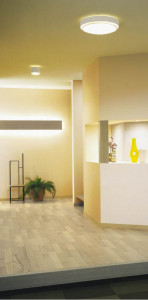 KOIZUMI   Ǯ Ǯ Ǯ Ǯץȥ AHE670084