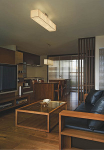 KOIZUMI �������� �������� �����ָ���������� ���� �ָ������ŵ忧��  AHN500024