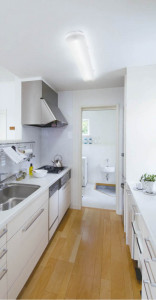 KOIZUMI �������� �������� �ָ���������� ���å���饤�� �ָ������ŵ忧��  AHN530133