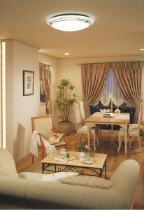 KOIZUMI   ָ ָ ָ򿧡  AHN537243