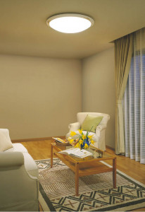 KOIZUMI   ָ ָ ָŵ忧  AHN538341