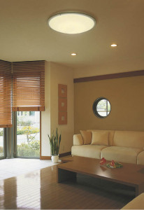 KOIZUMI �������� �������� �ָ���������� �ָ���������� �ָ��������򿧡�  AHN538474