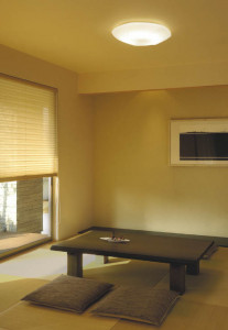 KOIZUMI �������� �������� �����ָ���������� ���� �ָ������ŵ忧��  AHN539275