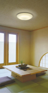 KOIZUMI �������� �������� �����ָ���������� ���� �ָ������ŵ忧��  AHN539278