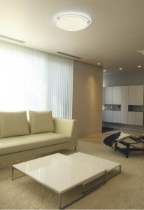 KOIZUMI �������� �������� �ָ���������� �ָ���������� �ָ������ŵ忧��  AHN539447