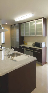 KOIZUMI �������� �������� �ָ���������� ���å���饤�� �ָ������ŵ忧��  AHN630049