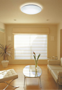 KOIZUMI �������� �������� �ָ���������� �ָ���������� �ָ��������򿧡�  AHN635082