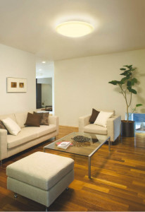 KOIZUMI �������� �������� �ָ���������� �ָ���������� �ָ��������򿧡�  AHN635118