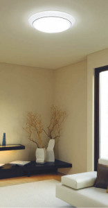 KOIZUMI �������� �������� �ָ���������� �ָ���������� �ָ������ŵ忧��  AHN635220