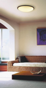 KOIZUMI �������� �������� �ָ���������� �ָ���������� �ָ������ŵ忧��  AHN635276