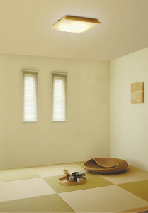 KOIZUMI �������� �������� �����ָ���������� ���� �ָ������ŵ忧��  AHN635341