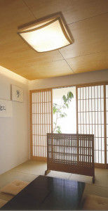 KOIZUMI �������� �������� �����ָ���������� ���� �ָ������ŵ忧��  AHN635407