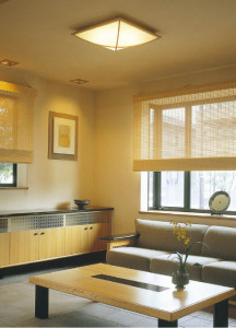 KOIZUMI �������� �������� �����ָ���������� ���� �ָ��������򿧡�  AHN635419