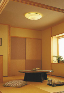 KOIZUMI �������� �������� �����ָ���������� ���� �ָ������ŵ忧��  AHN635478