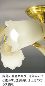 KOIZUMI   ָڥ ڥ ָŵ忧  APN585023