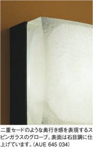 KOIZUMI �������� �������� �ɱ��ɼ����֥饱�å� �����ȥɥ��饤�� ��Ǯ�� ��Ǯ����ץȥ�� AUE645034