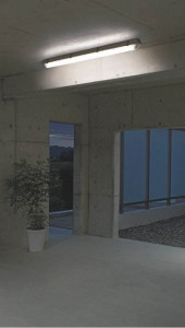 KOIZUMI �������� �������� �ɱ��ɼ���ľ�մ�� �����ȥɥ��饤�� �ָ��������򿧡�  AUG628002