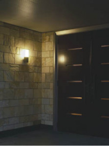 KOIZUMI �������� �������� �ɱ����֥饱�å� �����ȥɥ��饤�� �ָ������ŵ忧��  AUN645181