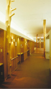 KOIZUMI �������� �������� �ȥ�շ�ľ�մ�� Ź�ޥ١����饤��   FTG2103AZ