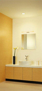 DAIKO ����ŵ� �֥饱�å� DBK-53463 �ܹ���