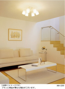 Panasonic �����ǥꥢ HEM3004E �̿�1