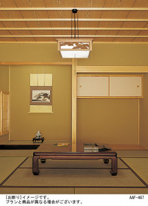 Panasonic ڥ  HFD8500LEZ ̿1