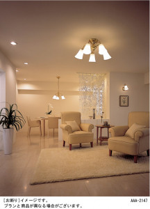 Panasonic ǥꥢ HEM5183CE ̿1