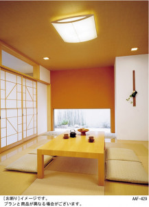 Panasonic ������� �������� HFA8531 �̿�1