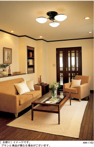 Panasonic �����ǥꥢ HFM1102C �̿�1