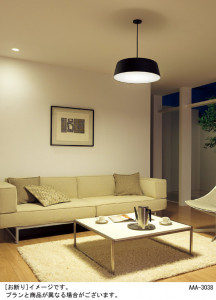 Panasonic �ڥ����� HGD1043B �̿�2