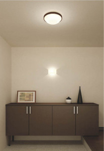 �������߾��� KOIZUMI �ָ���������� AHN600109 ������� �ָ������ŵ忧�˷ָ�EFD����  koizumi ahn600109