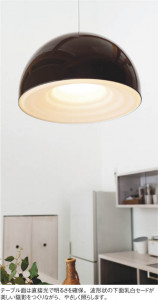 �������߾��� KOIZUMI LED�ڥ����� AP38520L ��ħ�̿�