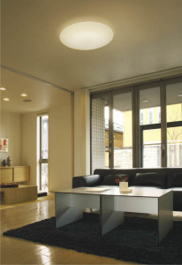 ߾ KOIZUMI ָ AHN636479  ָ򿧡˷ָFHC  koizumi ahn636479