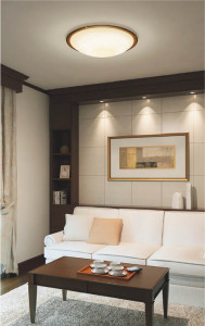 �������߾��� KOIZUMI �ָ���������� AHN637017 ������� �ָ��������򿧡˷ָ�FHC����  koizumi ahn637017