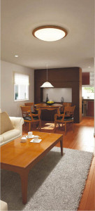 �������߾��� KOIZUMI �ָ���������� AHN637019 ������� �ָ��������򿧡˷ָ�FHC����  koizumi ahn637019