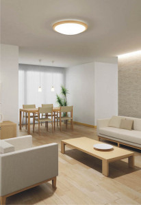 �������߾��� KOIZUMI �ָ���������� AHN637071 ������� �ָ��������򿧡˷ָ�FHC����  koizumi ahn637071