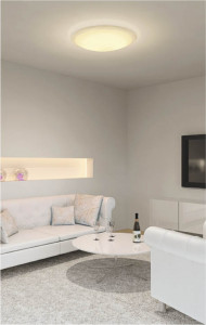 �������߾��� KOIZUMI �ָ���������� AHN637176 ������� �ָ������ŵ忧�˷ָ�FHC����  koizumi ahn637176