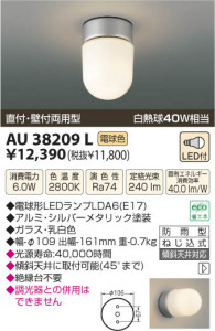 �������߾��� KOIZUMI LED�ɱ����֥饱�å� AU38209L ���β���