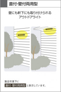�������߾��� KOIZUMI �ɱ����֥饱�å� AUN646225 �����ȥɥ��饤�� �ָ��������򿧡˷ָ�EFD����  koizumi aun646225